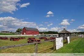 Belkin family lookout farm - Belkin Family Lookout Farm Food and Beverage Services Natick, Massachusetts 12 followers Follow View all 7 employees Report this company Report Report. Back Submit. About us ...